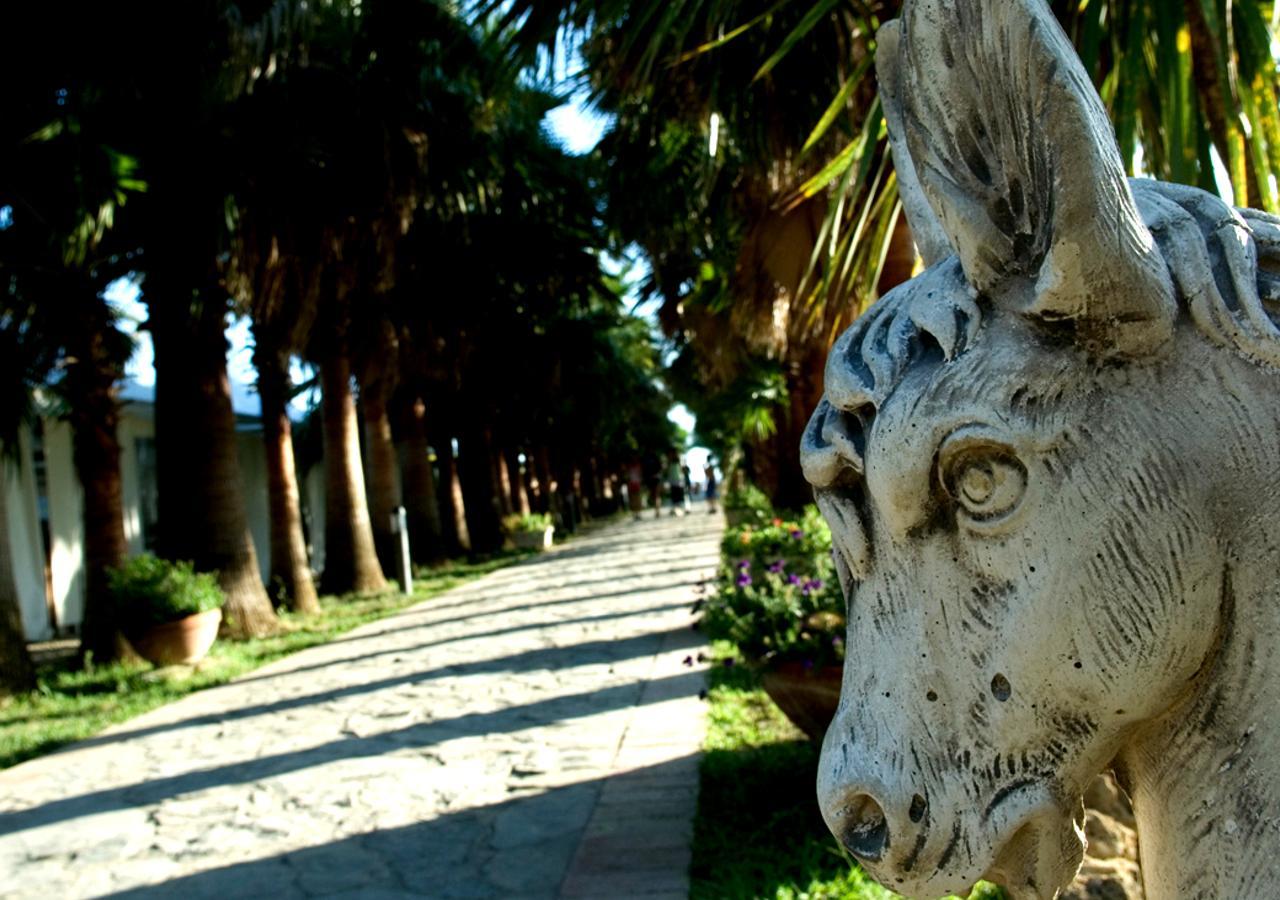 Cilento Resort Villaggio Velia Marina Di Casal Velino Dış mekan fotoğraf